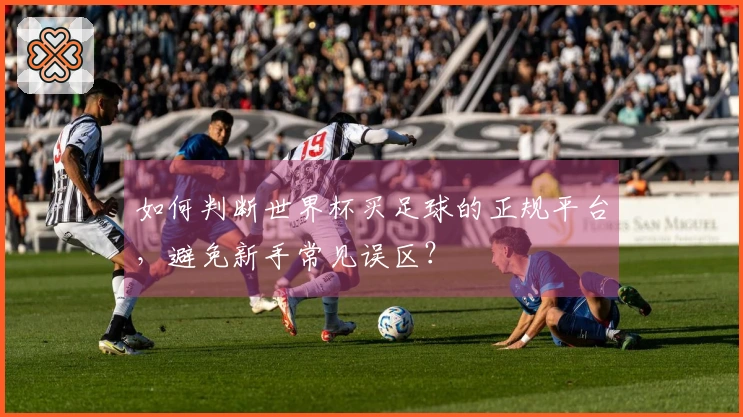 如何判断世界杯买足球的正规平台，避免新手常见误区？