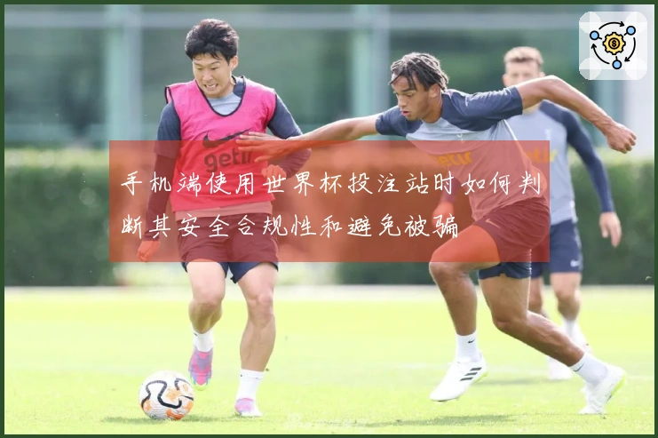 手机端使用世界杯投注站时如何判断其安全合规性和避免被骗