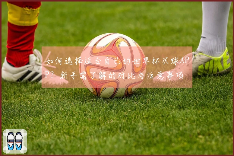 如何选择适合自己的世界杯买球APP？新手需了解的对比与注意事项