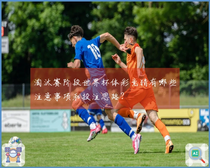 淘汰赛阶段世界杯体彩竞猜有哪些注意事项和投注思路？