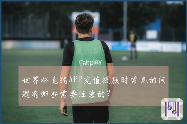 世界杯竞猜APP充值提款时常见的问题有哪些需要注意的？
