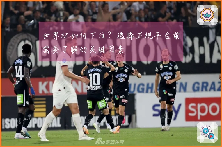 世界杯如何下注？选择正规平台前需要了解的关键因素