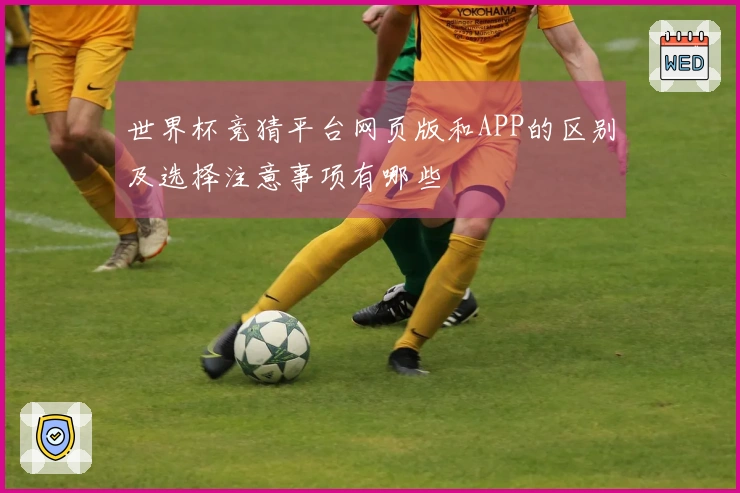 世界杯竞猜平台网页版和APP的区别及选择注意事项有哪些