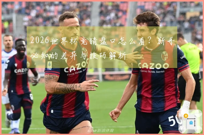 2026世界杯竞猜盘口怎么看？新手必知的差异与技巧解析