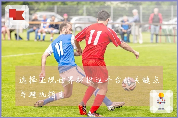 选择正规世界杯投注平台的关键点与避坑指南