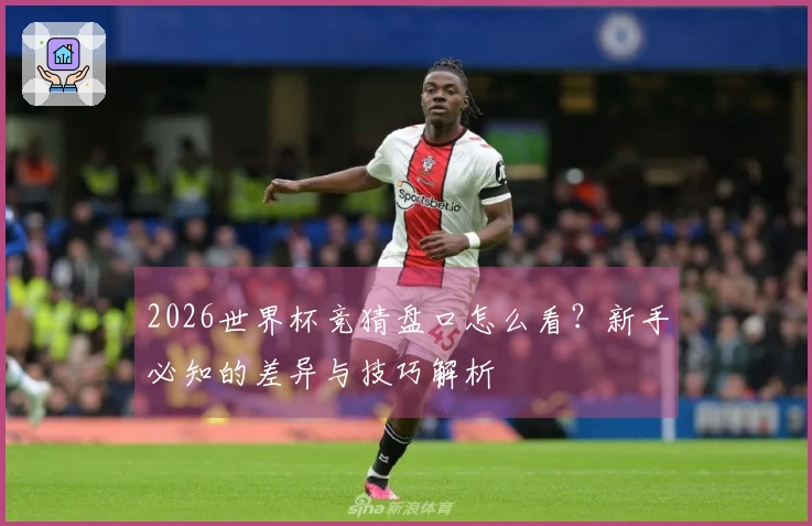 2026世界杯竞猜盘口怎么看？新手必知的差异与技巧解析