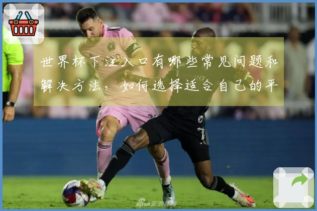 世界杯下注入口有哪些常见问题和解决方法，如何选择适合自己的平台？