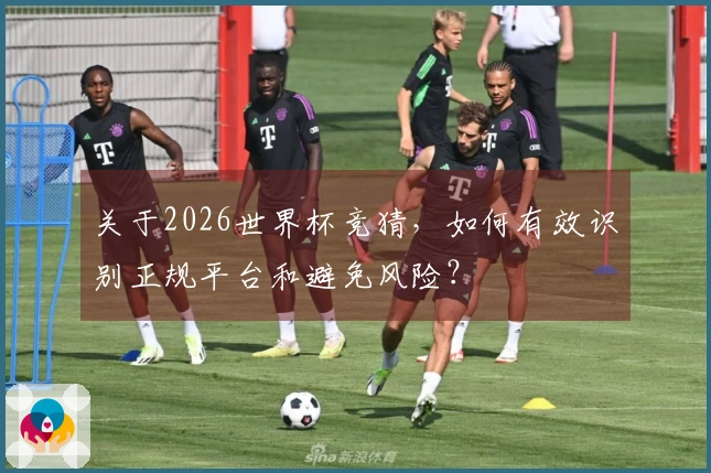 关于2026世界杯竞猜，如何有效识别正规平台和避免风险？
