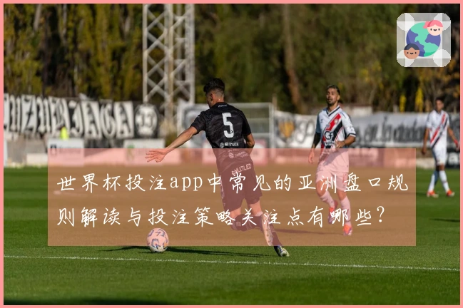 世界杯投注app中常见的亚洲盘口规则解读与投注策略关注点有哪些？
