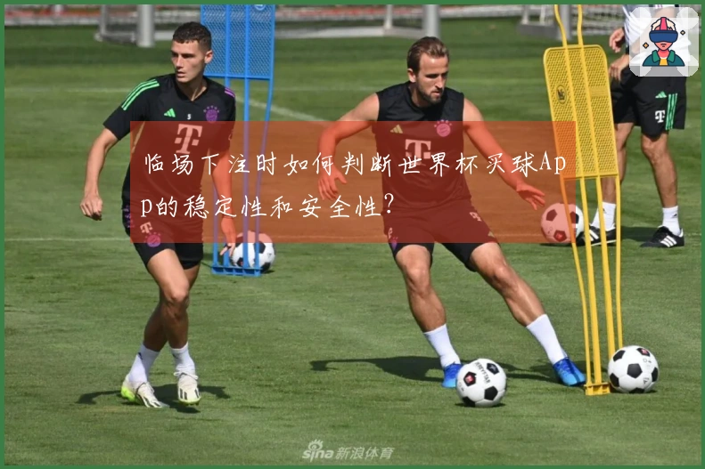 临场下注时如何判断世界杯买球App的稳定性和安全性？