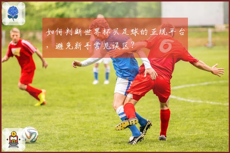 如何判断世界杯买足球的正规平台，避免新手常见误区？