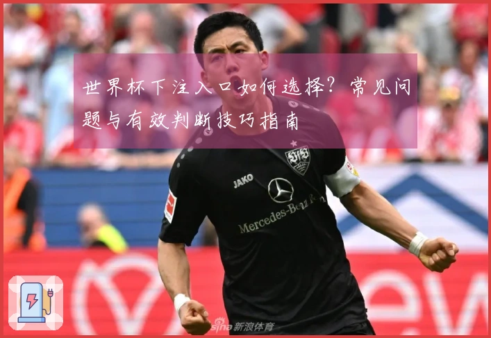 世界杯下注入口如何选择？常见问题与有效判断技巧指南