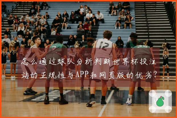 怎么通过球队分析判断世界杯投注站的正规性与APP和网页版的优劣？