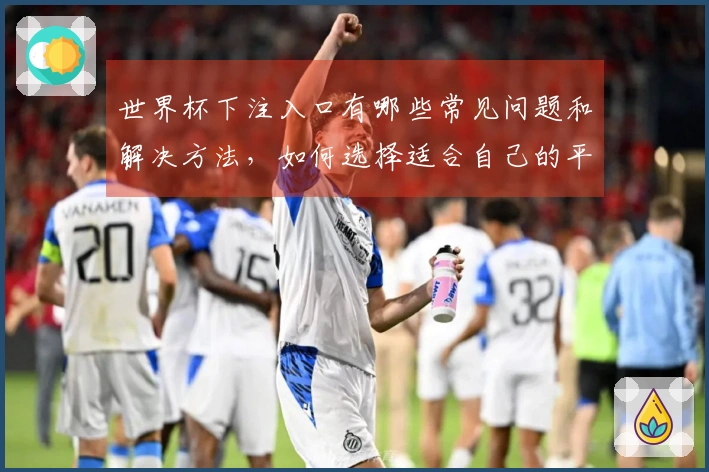 世界杯下注入口有哪些常见问题和解决方法，如何选择适合自己的平台？
