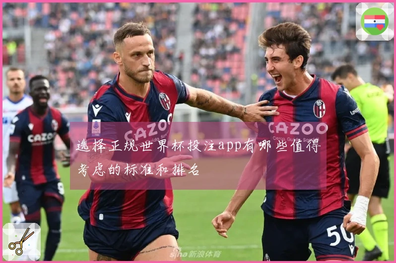 选择正规世界杯投注app有哪些值得考虑的标准和排名