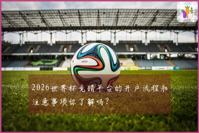 2026世界杯竞猜平台的开户流程和注意事项你了解吗？