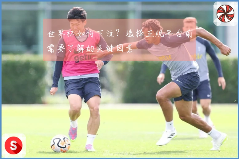 世界杯如何下注？选择正规平台前需要了解的关键因素