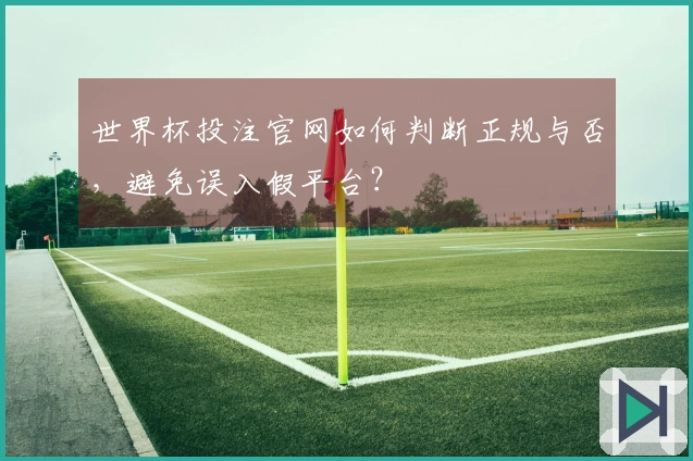 世界杯投注官网如何判断正规与否，避免误入假平台？