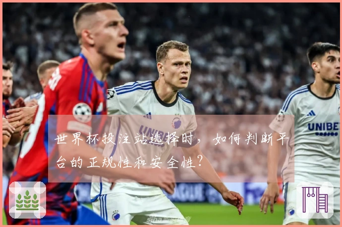 世界杯投注站选择时，如何判断平台的正规性和安全性？