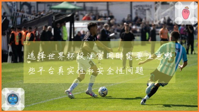 选择世界杯投注官网时需要注意哪些平台真实性和安全性问题