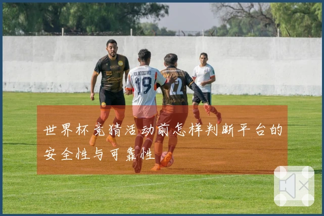 世界杯竞猜活动前怎样判断平台的安全性与可靠性