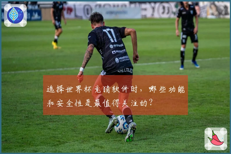 选择世界杯竞猜软件时，哪些功能和安全性是最值得关注的？