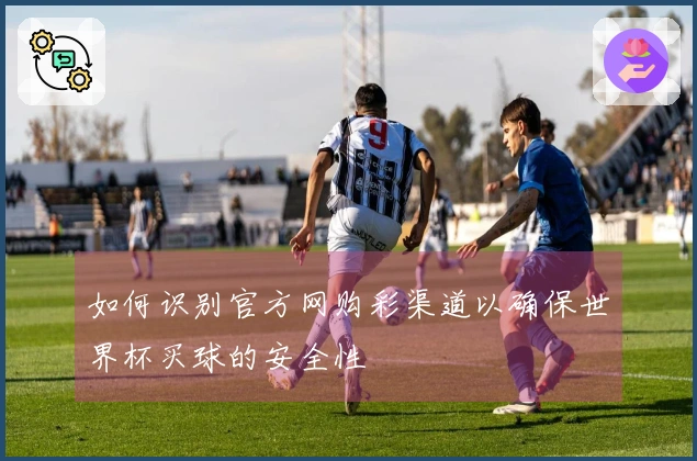 如何识别官方网购彩渠道以确保世界杯买球的安全性