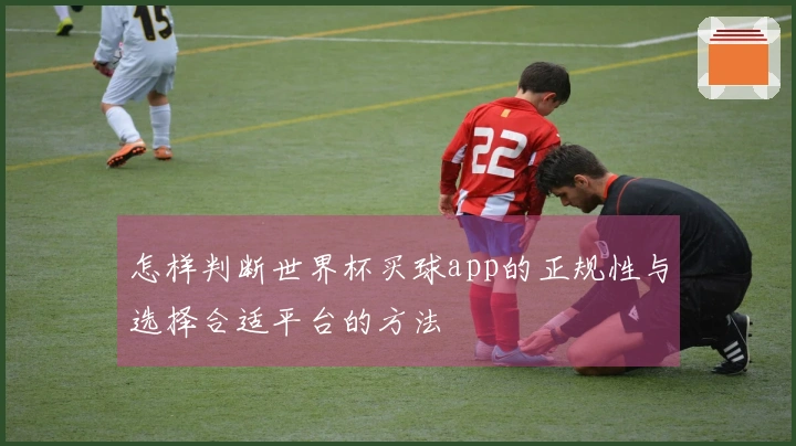 怎样判断世界杯买球app的正规性与选择合适平台的方法