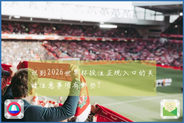 识别2026世界杯投注正规入口的关键注意事项有哪些？
