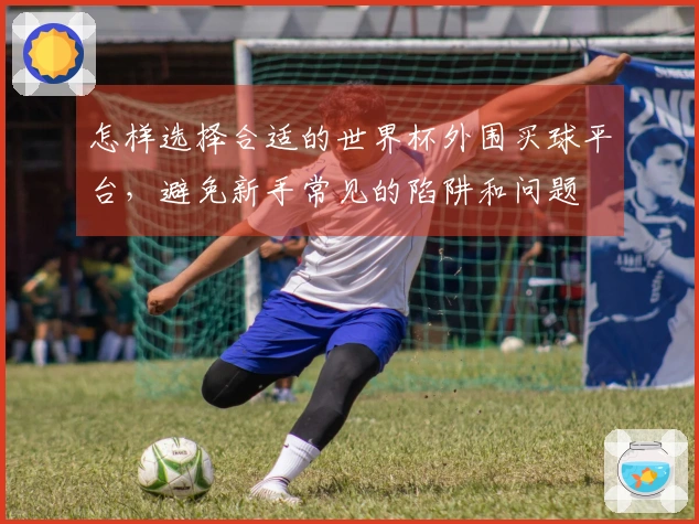 怎样选择合适的世界杯外围买球平台，避免新手常见的陷阱和问题