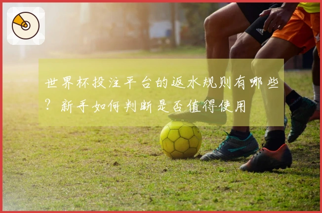 世界杯投注平台的返水规则有哪些？新手如何判断是否值得使用